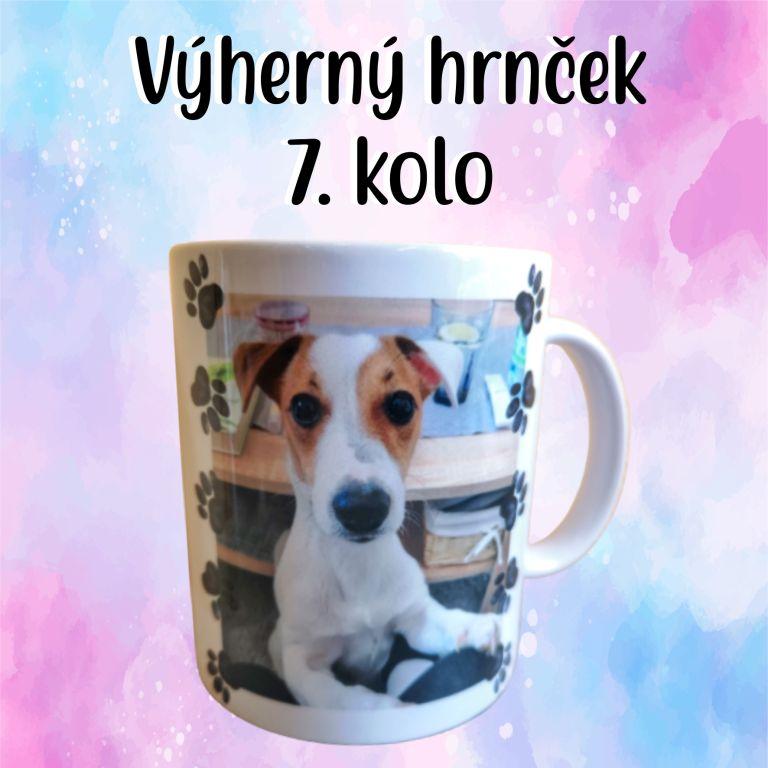 7. kolo